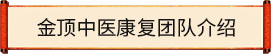王金顶