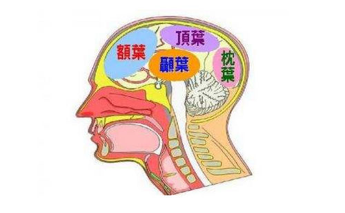 烟台脑萎缩的病因和病理