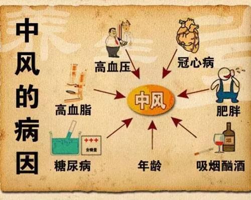 王金顶