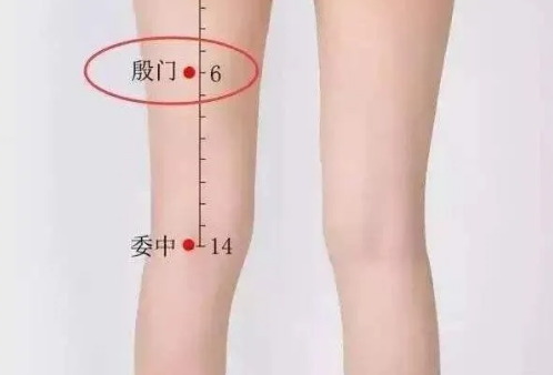 腿穴位